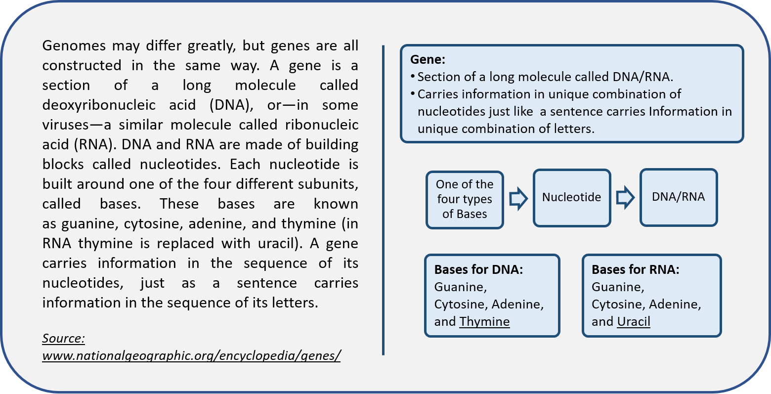 Visual learning content in Biology Visual learning content in Biology
